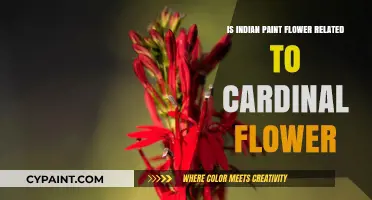 Indian Paint Flower vs. Cardinal Flower: Uncovering Their Botanical Connection