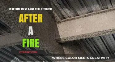 Post-Fire Performance: Does Intumescent Paint Remain Effective After Flames?