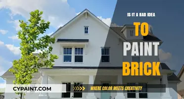 Painting Brick: Aesthetic Upgrade or Costly Mistake for Your Home?