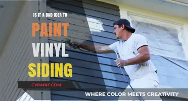 Vinyl Siding: To Paint or Not to Paint?