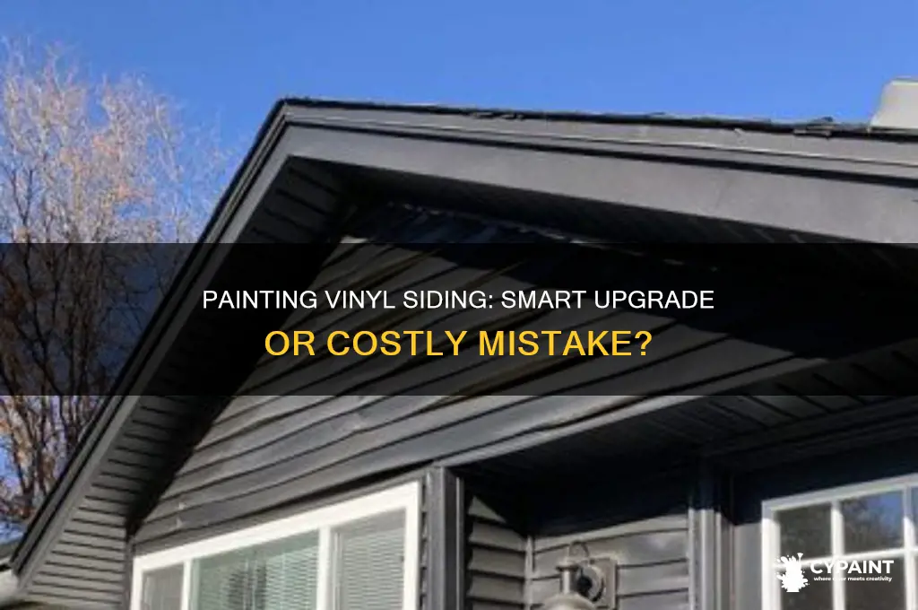 is it a dumb move to paint vinyl