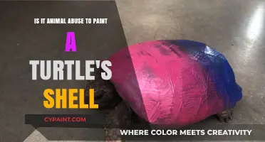 The Ethics of Decorating Turtles: A Debate on Shell Painting