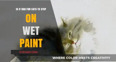 Feline Faux Pas: The Consequences of Cats Stepping on Wet Paint