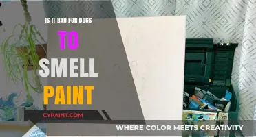 Is Paint Fumes Harmful to Dogs? What Pet Owners Should Know