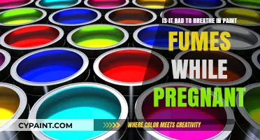 Pregnancy and Paint Fumes: Understanding the Risks for Expectant Mothers