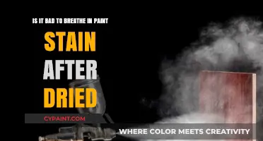 The Hidden Dangers of Dried Paint: Is It Safe to Breathe In?