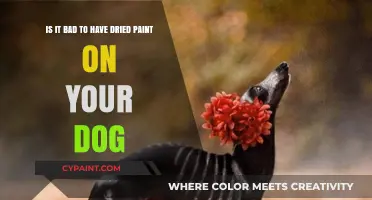 Paws and Reflect: The Truth About Dried Paint on Dogs
