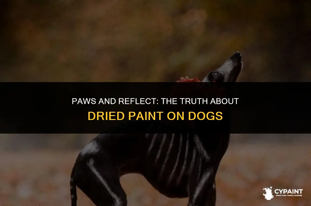 is it bad to have dried paint on your dog