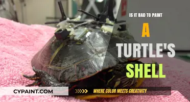 The Dangers of Painting a Turtle's Shell