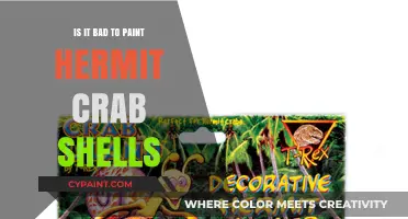 Painting Hermit Crab Shells: Harmful Practice or Creative Expression?