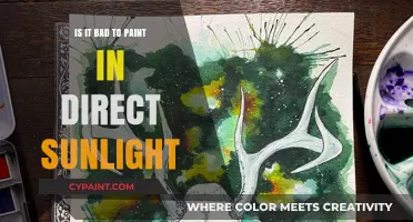 Painting in Direct Sunlight: Benefits, Risks, and Best Practices