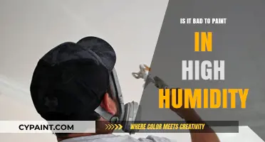 Painting in High Humidity: Risks, Challenges, and Best Practices