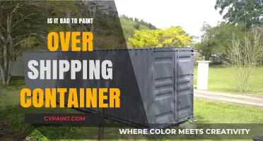 Painting Shipping Containers: Pros, Cons, and Best Practices for Durability