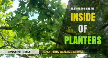 Painting Planter Interiors: Good or Bad Idea?