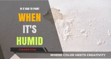 Humidity's Impact on Paint: What You Need to Know