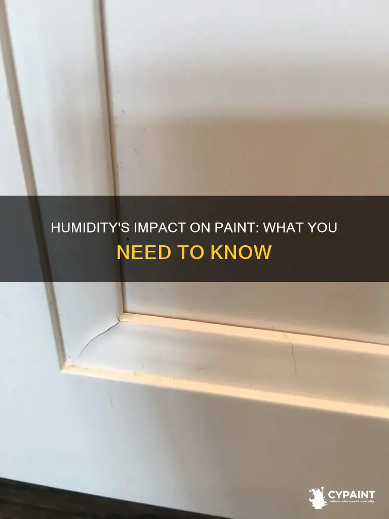 Humidity's Impact On Paint: What You Need To Know | CyPaint