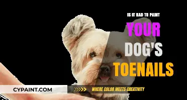 Toe Painting: Is It Safe for Dogs?