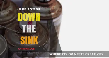 Avoid Pouring Paint Down the Sink: It's Bad for Pipes and the Environment