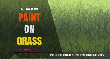Is Painting Grass Harmful? Environmental Impact and Lawn Care Tips
