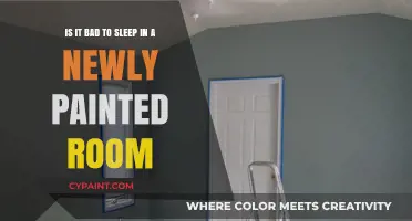 Fresh Paint, Fresh Dreams: Is It Safe to Sleep in a Newly Painted Room?
