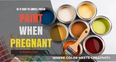 Pregnant and Around Fresh Paint? Be Cautious