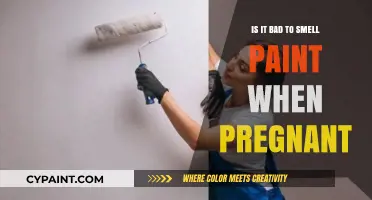 Pregnancy and Paint Fumes: Is That Smell Safe for Baby?