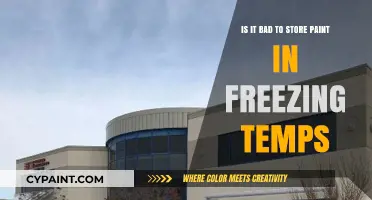 Cold Storage: Is it Safe to Freeze Paint?