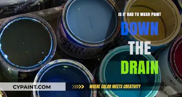 Properly Dispose of Paint Wash Water: Protect Your Home and Environment