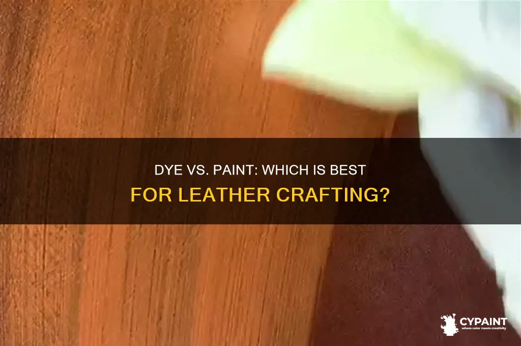 is it better to dye or paint leather