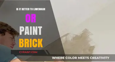 Limewash vs. Paint: Which Finish Suits Your Brick Best?