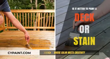 Staining vs Painting: Which Option Suits Your Deck?