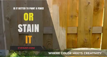 Fence Makeover: The Great Debate - Paint vs. Stain