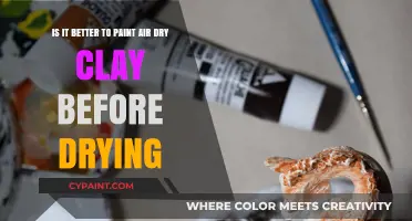 Should You Paint Air-Dry Clay Before It Dries? A Comprehensive Guide