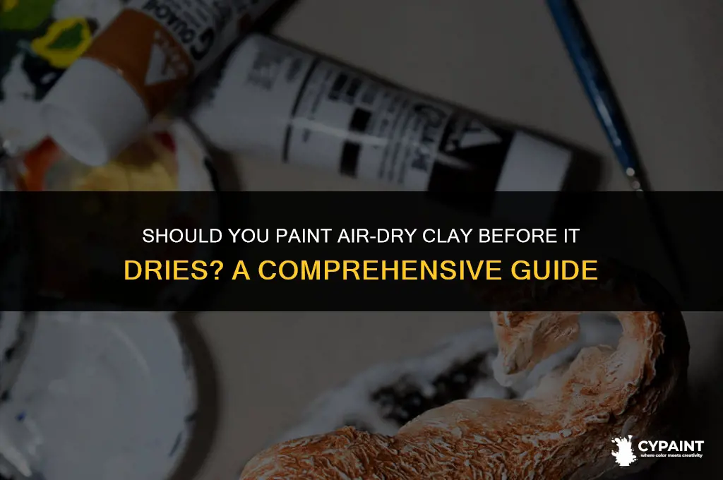 is it better to paint air dry clay before drying