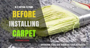 Paint First or Carpet First? The Ultimate Flooring Dilemma