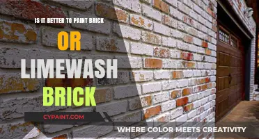 Limewash vs Paint: Which is Better for Brick?
