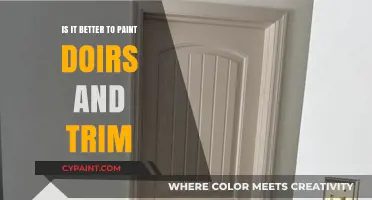 Painting Doors and Trim: Pros, Cons, and Best Practices for a Fresh Look
