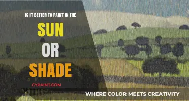 Sunlit Strokes vs. Shady Hues: The Painter's Dilemma