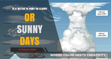 Cloudy vs. Sunny: Unveiling the Perfect Day for Painting Outdoors