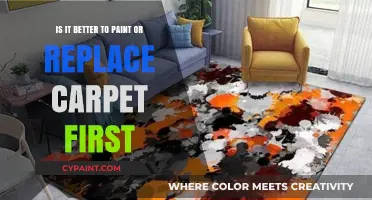 Carpet or Paint First? The Best Way to Refresh Your Home