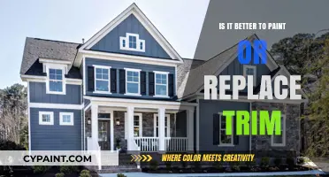 Paint or Replace Trim: Cost-Effective Home Upgrade Solutions Revealed