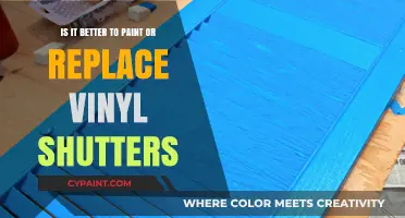 Vinyl Shutters: Paint or Replace?