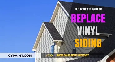 Painting or Replacing Vinyl Siding: What's the Better Option?