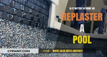 Pool Plaster or Paint: Which is the Better Option?