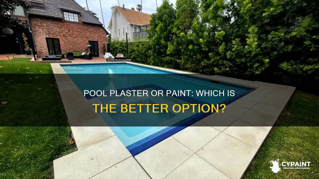 is it better to paint or replaster a pool