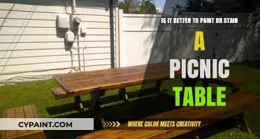 Revamping Your Picnic Table: The Great Paint vs. Stain Debate