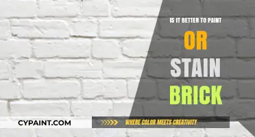 Painting vs. Staining Brick: Which Finish Enhances Your Home Best?