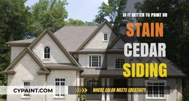 Staining vs Painting Cedar Siding: Pros, Cons, and More
