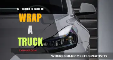 Truck Customization: Paint or Wrap?