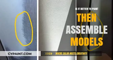 Paint Before Assembly: Pros, Cons, and Best Practices for Model Building